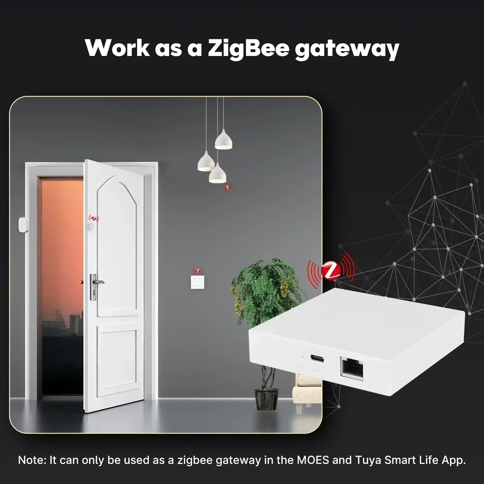 MOES Tuya Zigbee Matter Thread - Diy Home Electronics のレビューと価格