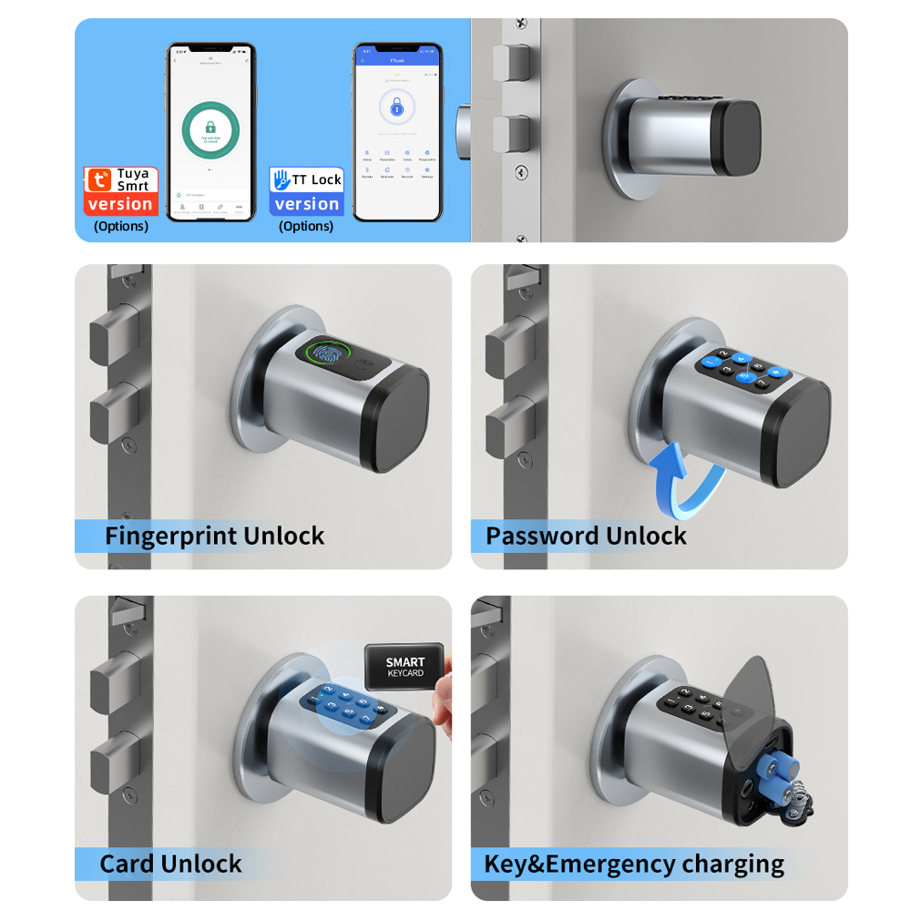RAYKUBE V1 Tuya BLE TT ロックスマート - Diy Home Electronics のレビューと価格