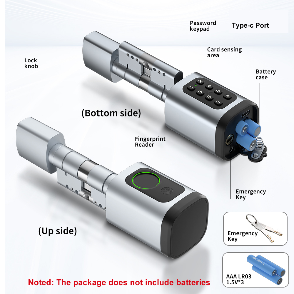 RAYKUBE V1 Tuya BLE TT ロックスマート - Diy Home Electronics のレビューと価格